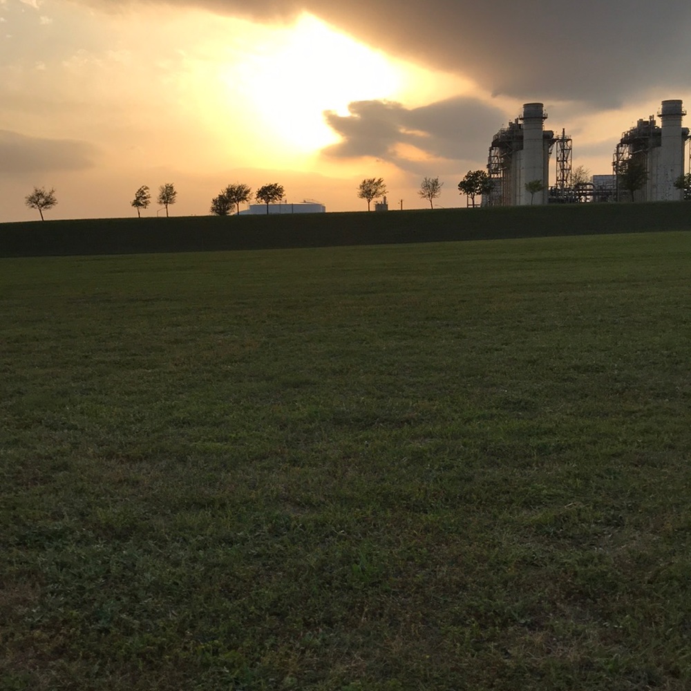 Meet your Posher, Roy